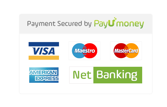Pay U Payment Gateway